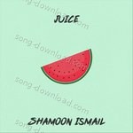 Shamoon Ismail Songs MP3 Download